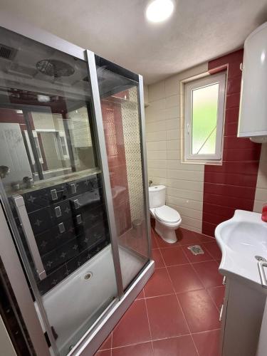 a bathroom with a shower and a toilet and a sink at Vila Tigani in Peje