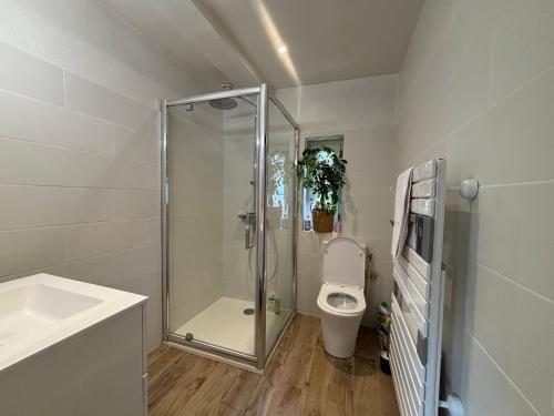 a bathroom with a shower and a toilet and a sink at La dépendance in Luchon