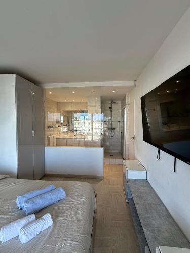 Appartement Vue Mer Pointe Croisette