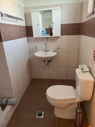 a bathroom with a toilet and a sink at ZOGRAFOS 2 in Haraki