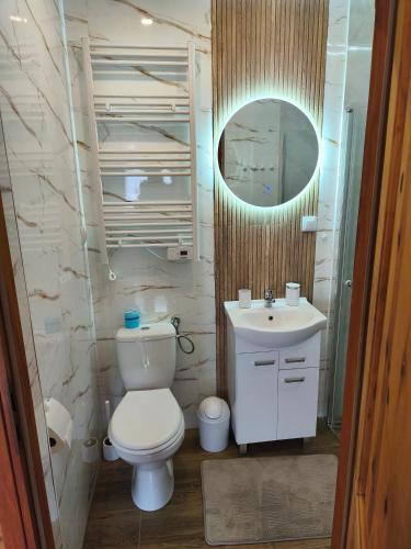 a bathroom with a toilet and a sink and a mirror at Domek Słoneczny nad morzem in Kąty Rybackie