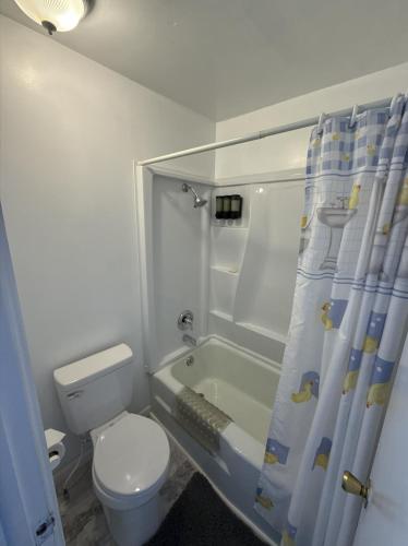 a bathroom with a tub and a toilet and a shower curtain at Inn the Clouds Hostel & Inn in Leadville