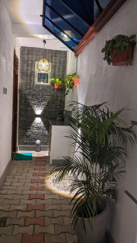 a room with a potted plant and a brick wall at The Shilpa Villa in Unawatuna