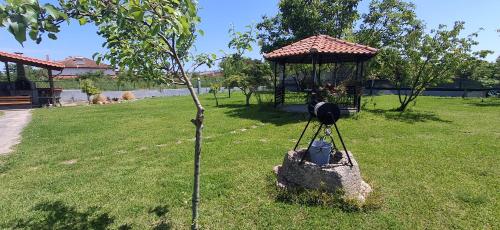 a small tree in a yard next to a gazebo at Kanela House ,Cozy Cottage with Large Garden & BBQ in Nea Kallikrateia