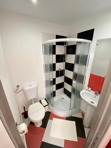 a bathroom with a shower and a toilet and a sink at Casa Nelda in Marginea
