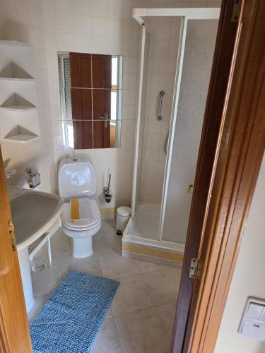 a bathroom with a shower and a toilet and a sink at Sol Apartments in Vilamoura