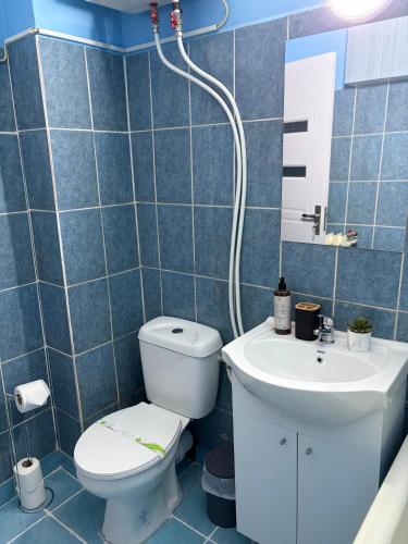 a bathroom with a toilet and a sink at Danuvia Studio 2 in Drobeta-Turnu Severin