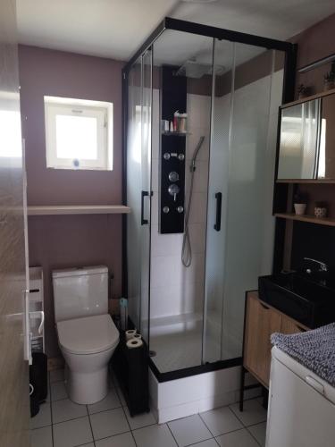a bathroom with a toilet and a glass shower at La p'tite maison in Bordeaux-Saint-Clair