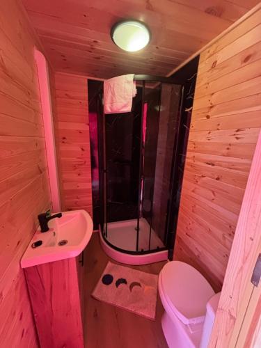 a bathroom with a toilet and a sink and a shower at Glamping Izerska Bajka in Mirsk