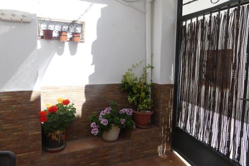 Foto El patio de Marcos 5