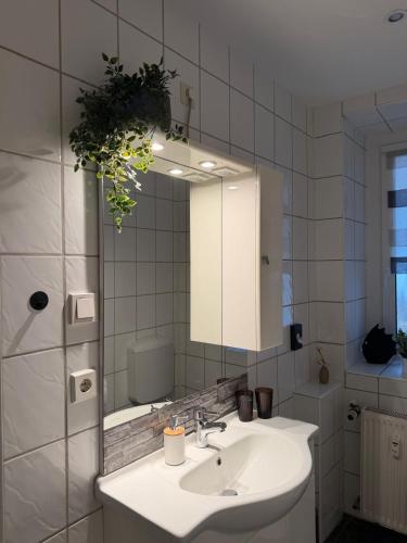a bathroom with a sink and a mirror at Dianas Ferienwohnung 1 in Feldberg