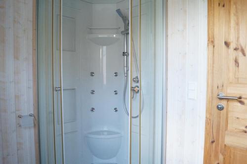 a shower stall with a toilet in a bathroom at Ferienhaus Heideblick in Zerpenschleuse