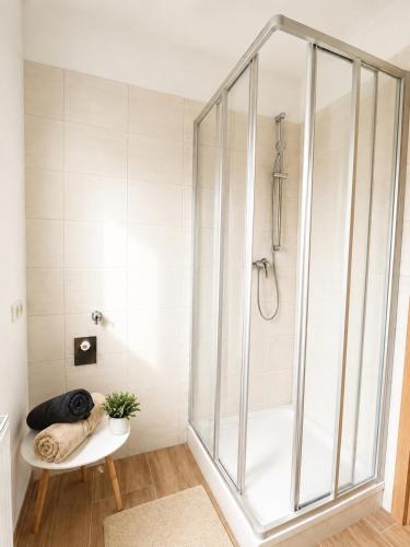 a bathroom with a shower with a glass enclosure at Apartment Harbach in Harbach