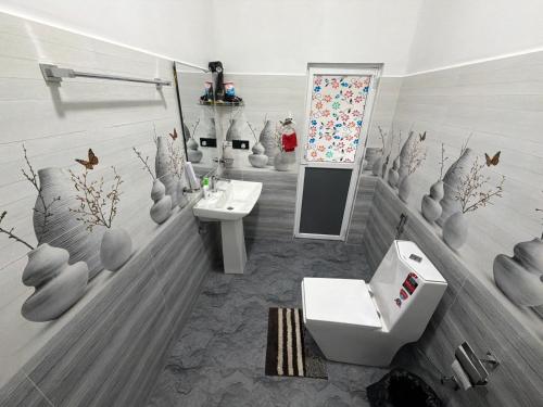 a bathroom with a toilet and a sink and a mirror at Ever Green Mount in Ella