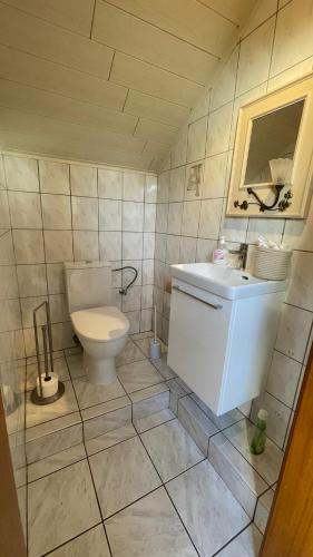 a bathroom with a toilet and a sink at Appartement entier, calme, confortable et spacieux in Gundershoffen