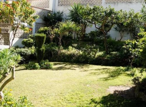 La Dorada Studio Torremolinos