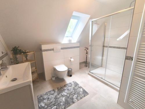 a bathroom with a shower and a toilet and a sink at Ferienwohnung Heide in Walsrode