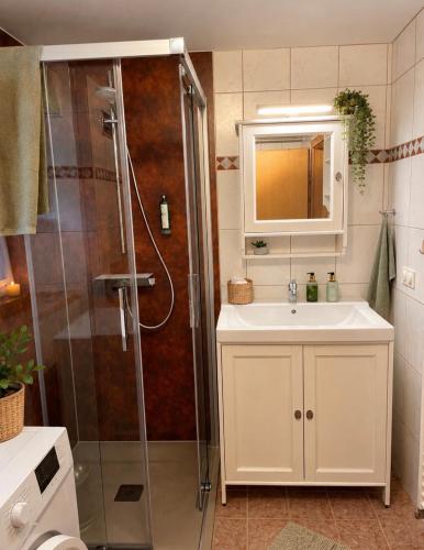 a bathroom with a shower and a sink at Gemütliches Apartment im Krämerhaus in Annaberg , 1 Schlafzimmer, 2-4 Personen, Zentrum in Annaberg im Lammertal