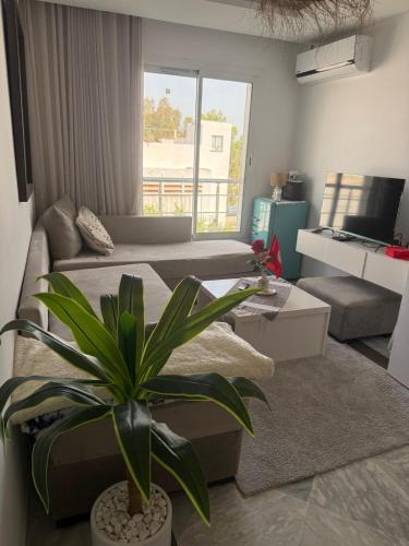 Modern & cozy apartment canal & sea view