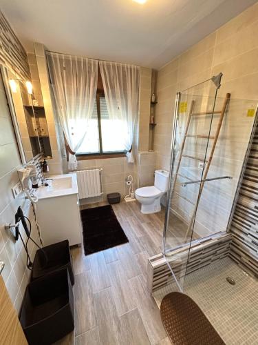 a bathroom with a shower and a toilet and a sink at Casa da Rapadoira in Laxoso de Abaixo
