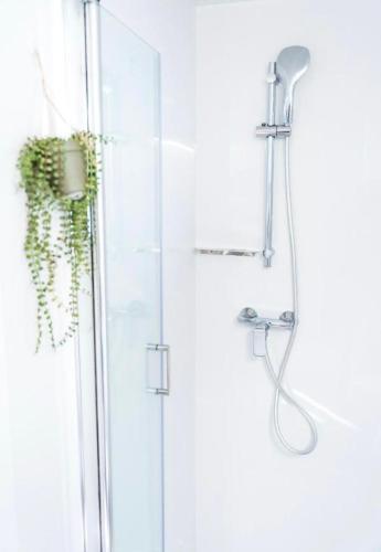 a shower with a shower head and a plant at Mobile Home LOREN in Biograd na Moru