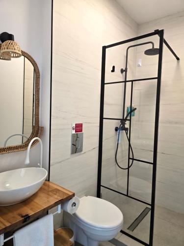 a bathroom with a shower and a toilet and a sink at Moon Lake Bicaz - Aurora Garden in Buhalniţa