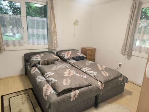 a bedroom with two beds and a window at Erdőszéli vendégház in Dudar