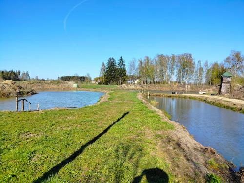 a grassy field next to a river at Siedlisko Grzegorza in Leśniki