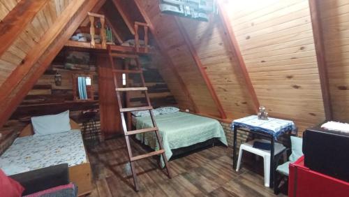 a room with a bunk bed and a ladder at Cabañas Gonga - Posada turistica in Ciudad del Este
