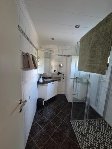 a small bathroom with a sink and a shower at Panzers Ferienwohnungen in Asparn an der Zaya