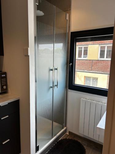 a glass shower in a kitchen with a window at Le Petit Gaillard in Les Andelys