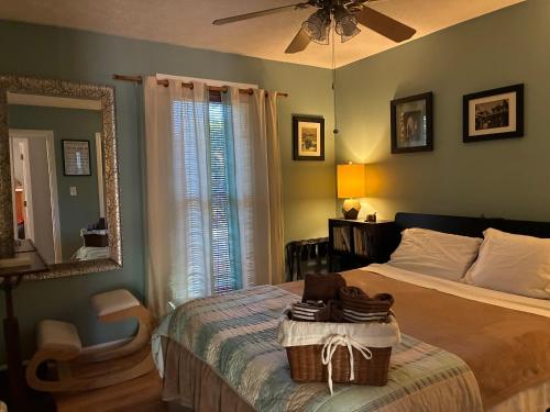 a bedroom with a bed with a mirror and a fan at Lakefront Serenity in Marietta