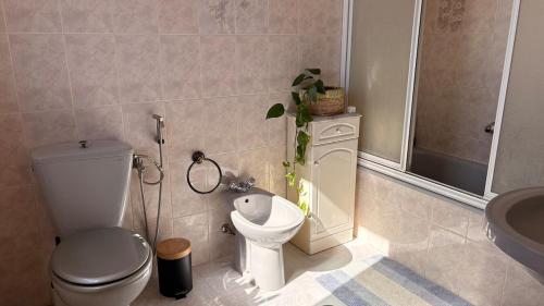 a bathroom with a toilet and a shower and a sink at Casa El Jazmín in Alfacar