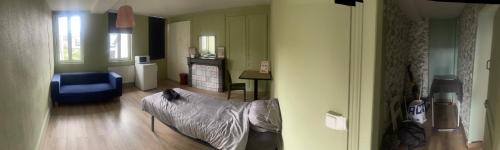 a living room with a couch and a blue chair at les chambres Carnot in Elbeuf