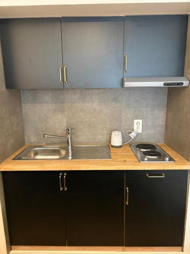 a kitchen counter with a sink and a stove at Bérylune Centrum in Ostend