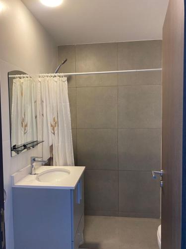 a bathroom with a sink and a shower at Monoambiente Cipolletti in Cipolletti
