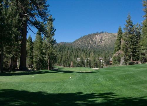 a green golf course with trees and a mountain at Cabins 13 in Old Mammoth