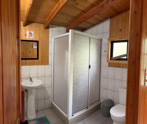 a bathroom with a shower and a toilet and a sink at Parcela Peumayen casa 1 in Coñaripe