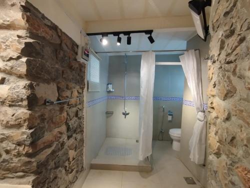 a bathroom with a shower and a toilet at HYN Mountain Resort in Kohāla
