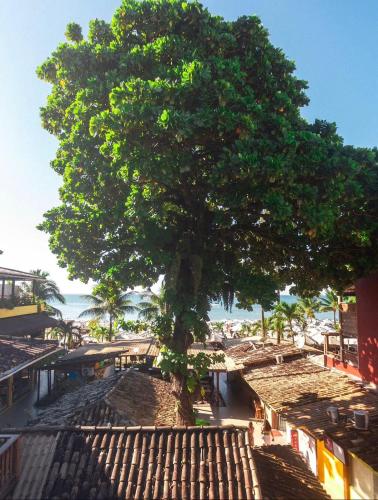 a tree on top of a building next to the ocean at Pousada Funny in Morro de São Paulo