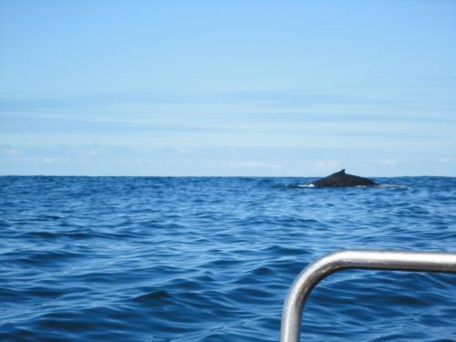 an island in the middle of the ocean at Khumbula iMozambique in Inhambane