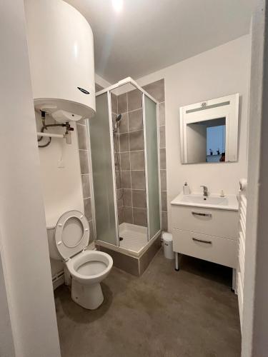 a bathroom with a toilet and a shower and a sink at La Parenthèse Calme in Tours