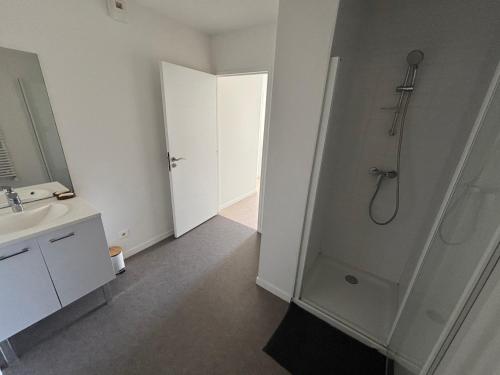 a bathroom with a shower and a sink at Appartement Sautron in Sautron