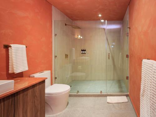 a bathroom with a shower and a toilet at Brada Collection Vendôme in Guadalajara