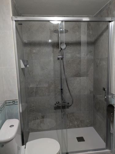 a bathroom with a glass shower with a toilet at At - Anita in La Alberca