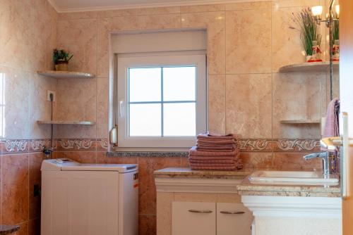 a bathroom with a sink and a window at Apartman Ika Umag in Umag