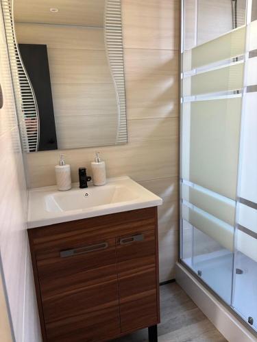 a bathroom with a sink and a shower at Paraisopingueral in Dichato