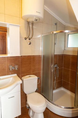 a bathroom with a toilet and a shower and a sink at Blue Horizon Villa DV in Dobra Voda