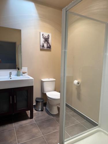 a bathroom with a toilet and a sink and a shower at Cardrona Alpine Luxe in Cardrona