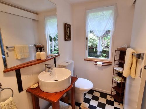 a bathroom with a sink and a toilet and a window at Coromandel Eco Sanctuary in Coromandel Town